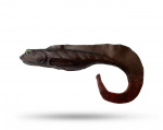 Nettel Baits Storlaken - Dark Brown Burbot Nettel Baits Storlaken - Dark Brown Burbot